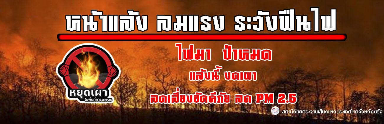 แบนเนอร์ไฟป่า
