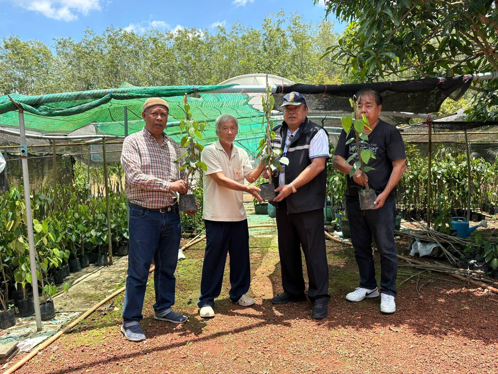 รองผู้ว่าราชการจังหวัดตรัง  ลงพื้นที่เยี่ยมศูนย์การเรียนรู้เตรียมส่งเสริมปลูกพริกไทยตรังพันธ์ปะเหลียน